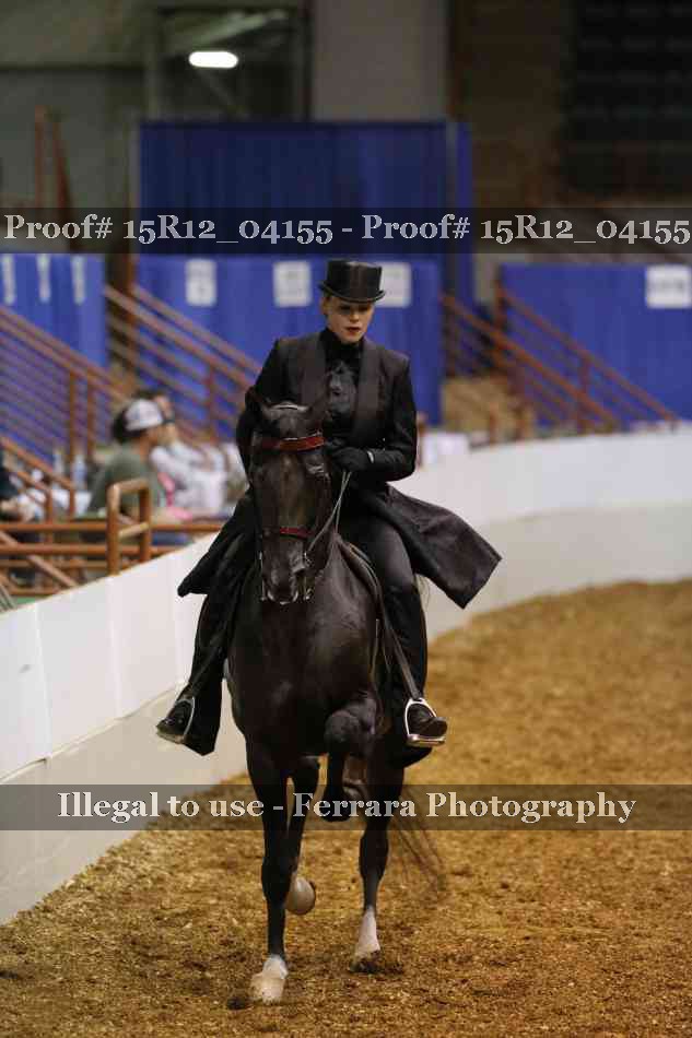 Proof 15R12_04155