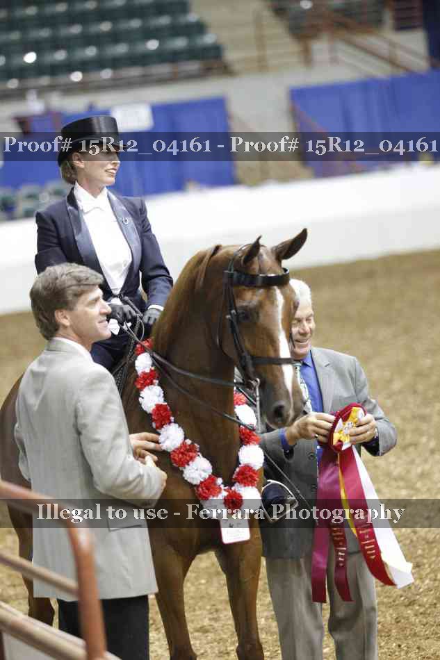 Proof 15R12_04161