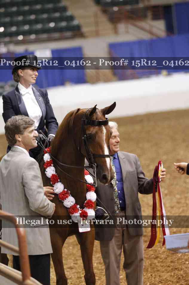 Proof 15R12_04162