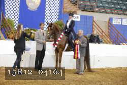 15R12_04164 proof