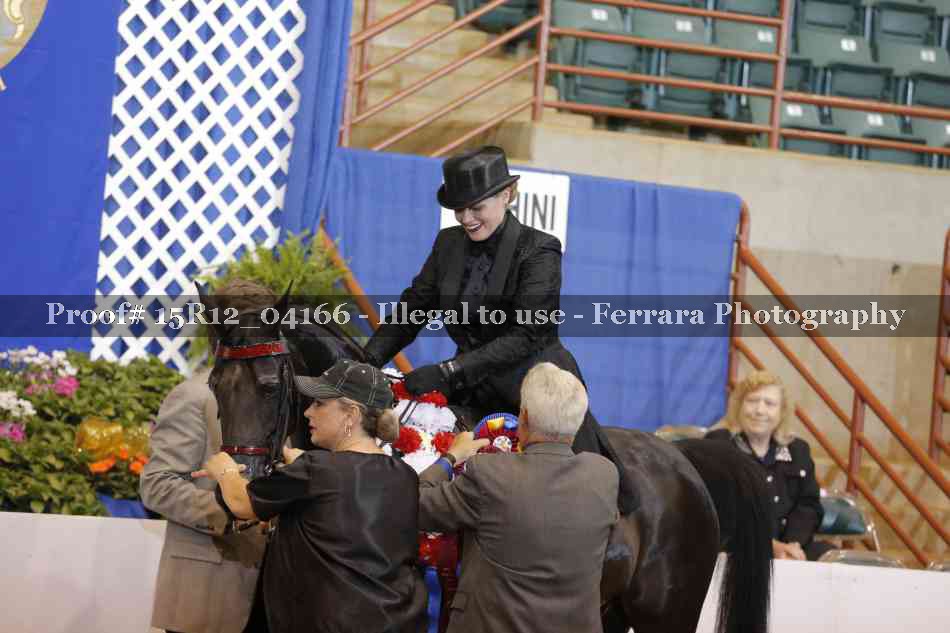 Proof 15R12_04166