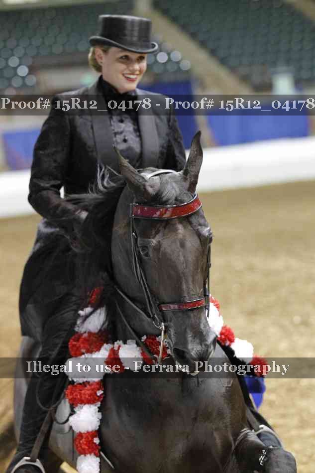 Proof 15R12_04178