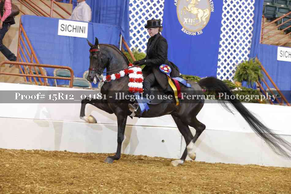 Proof 15R12_04181