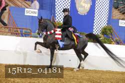 15R12_04181 proof