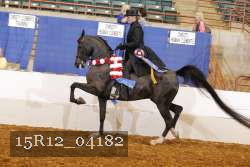 15R12_04182 proof