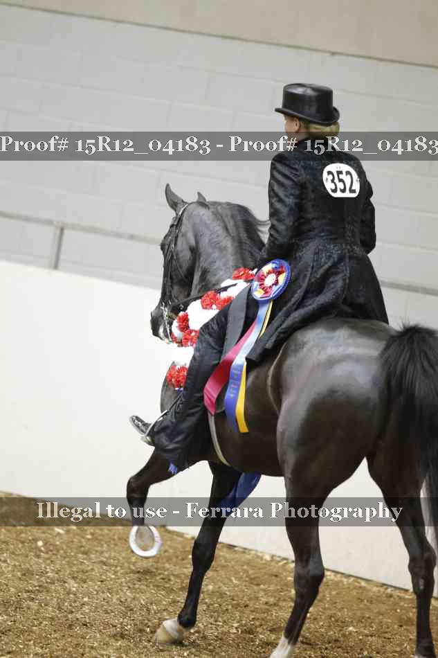 Proof 15R12_04183