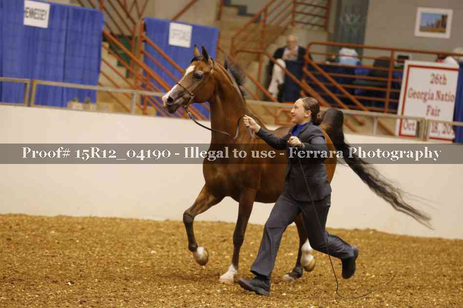 Proof 15R12_04190