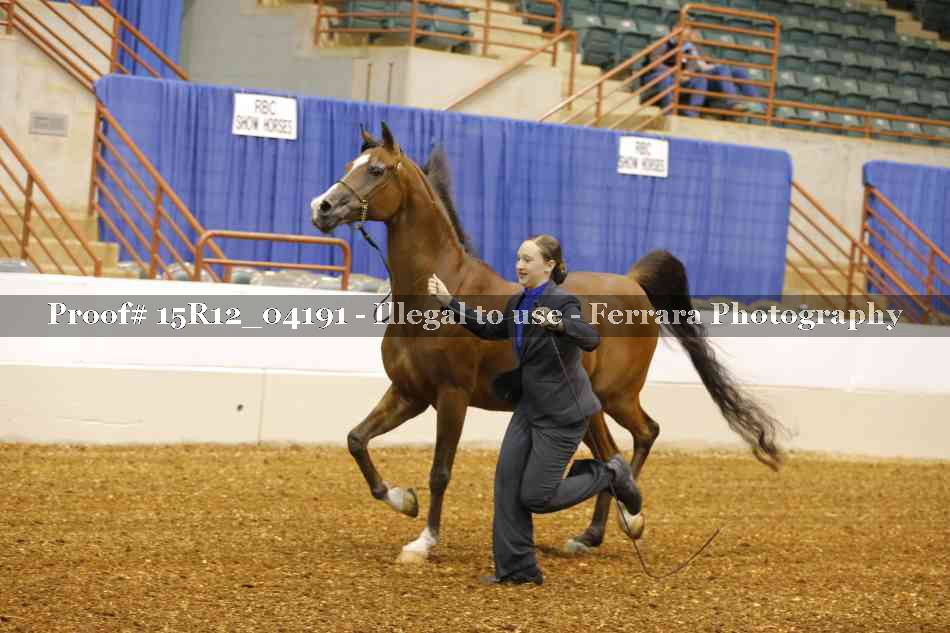 Proof 15R12_04191