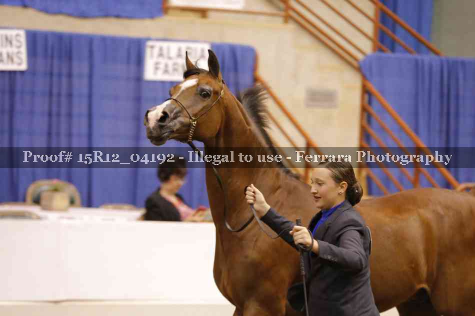 Proof 15R12_04192