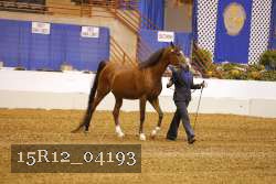 15R12_04193 proof