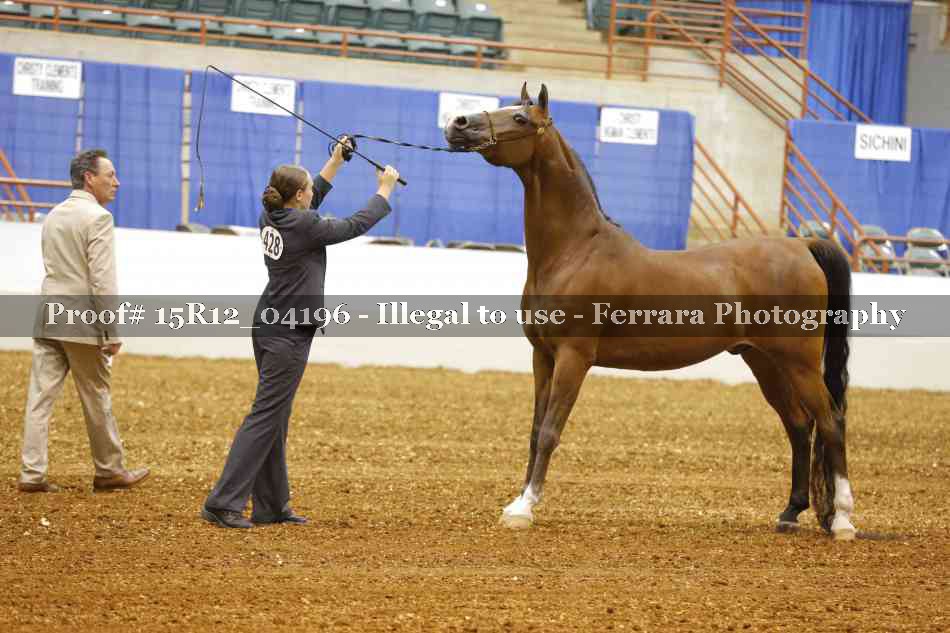 Proof 15R12_04196