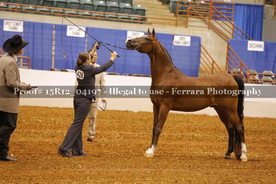 Proof 15R12_04197