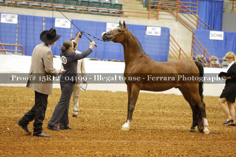 Proof 15R12_04199
