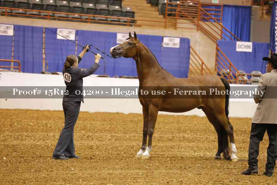 Proof 15R12_04200