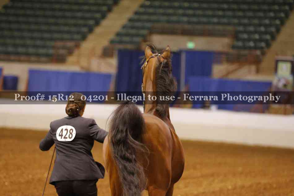 Proof 15R12_04201
