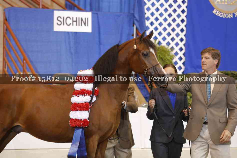 Proof 15R12_04202