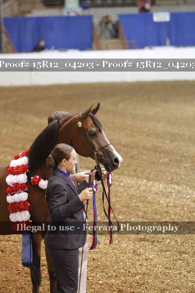 Proof 15R12_04203
