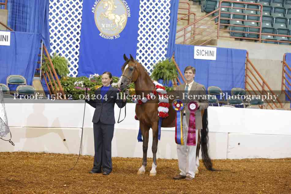 Proof 15R12_04204