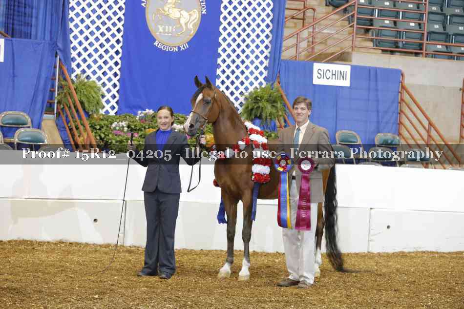 Proof 15R12_04205