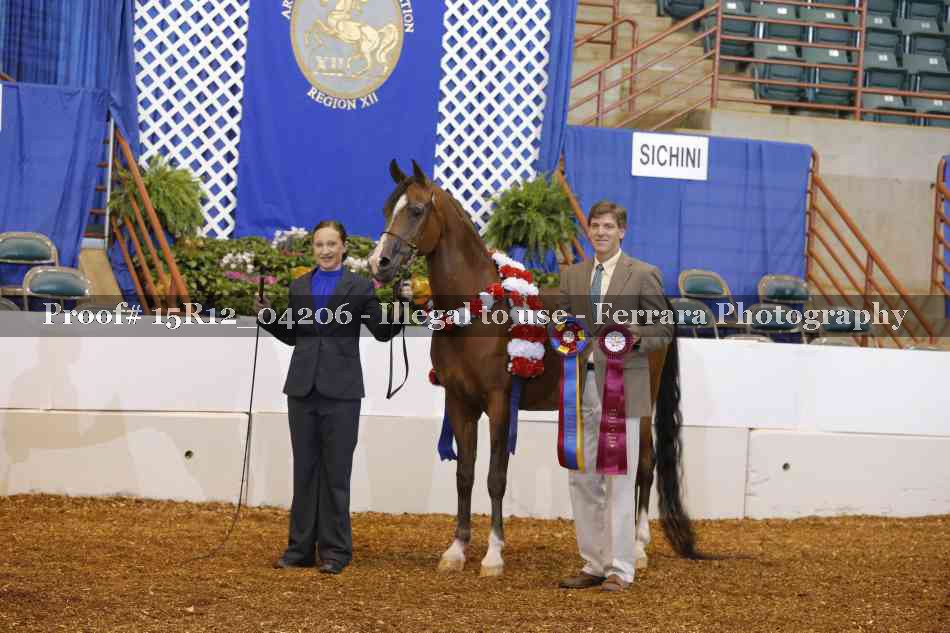 Proof 15R12_04206