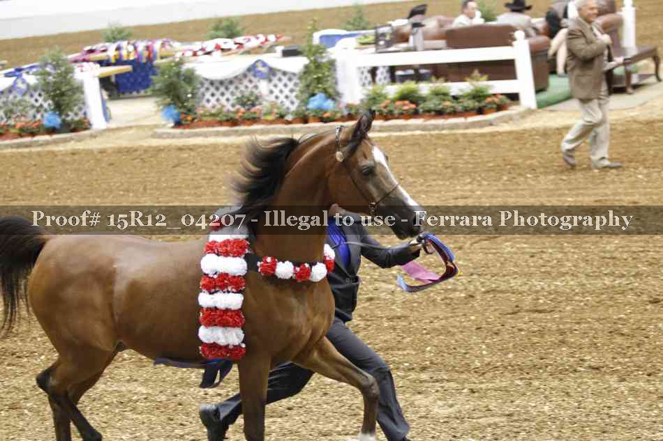 Proof 15R12_04207