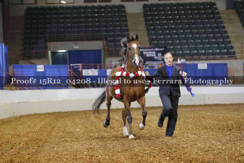 Proof 15R12_04208