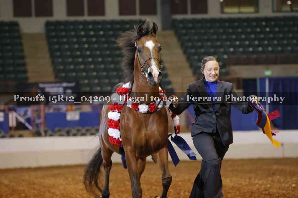 Proof 15R12_04209