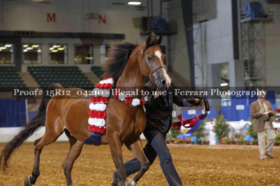 Proof 15R12_04210