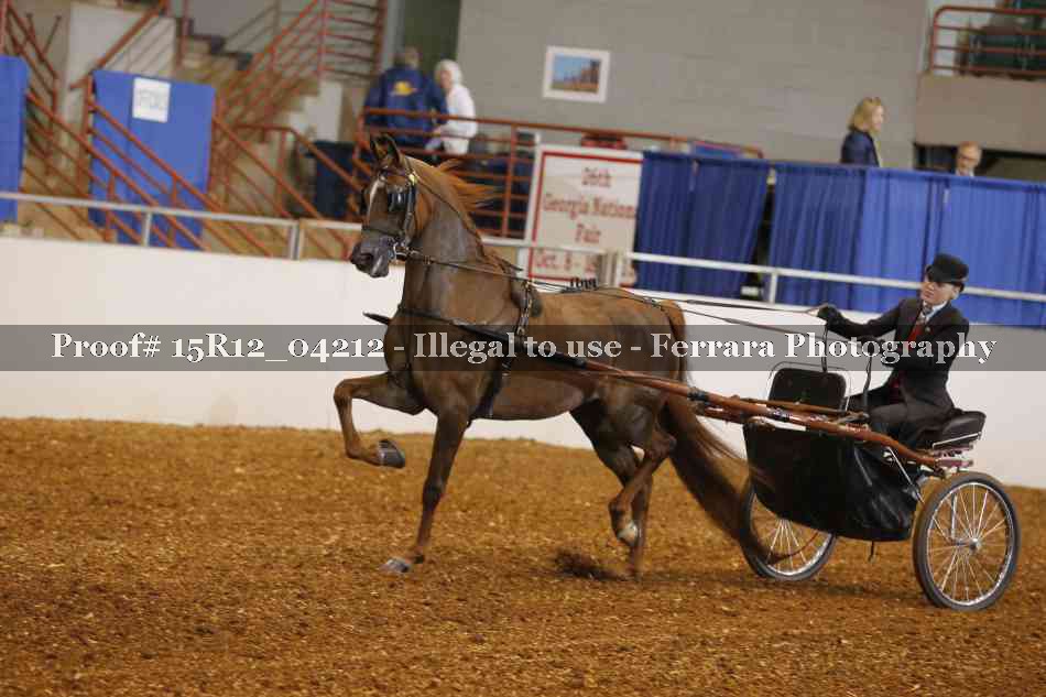 Proof 15R12_04212