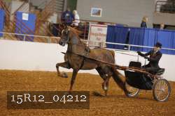 15R12_04212 proof