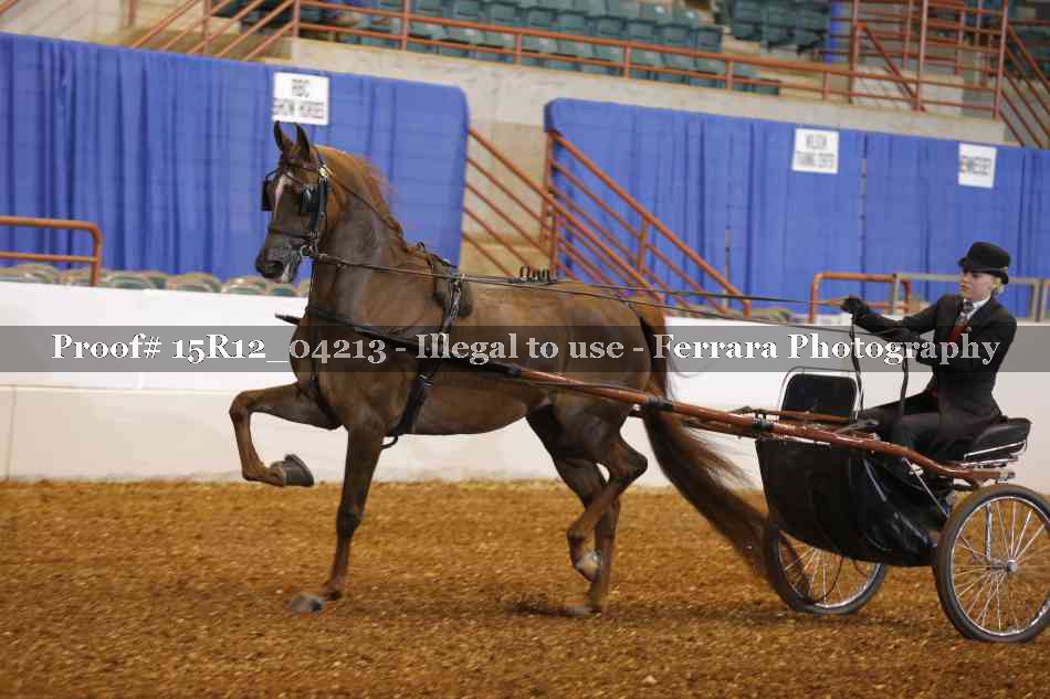 Proof 15R12_04213