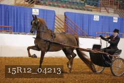 15R12_04213 proof
