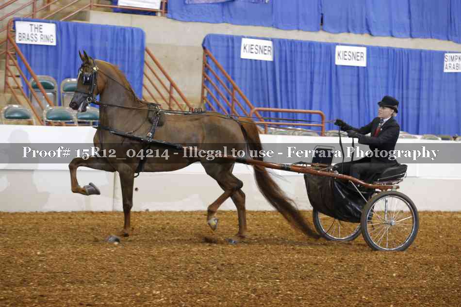 Proof 15R12_04214