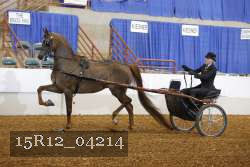 15R12_04214 proof