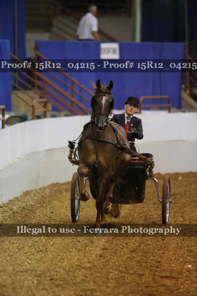 Proof 15R12_04215
