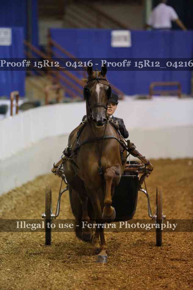Proof 15R12_04216
