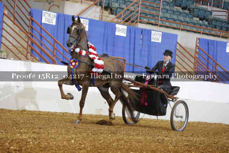 Proof 15R12_04217