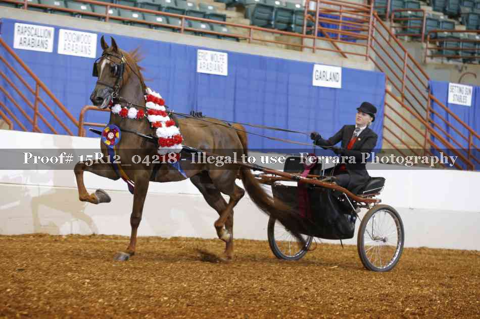 Proof 15R12_04218