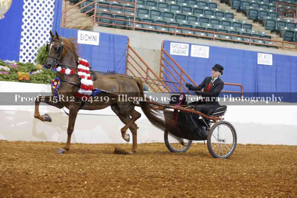 Proof 15R12_04219