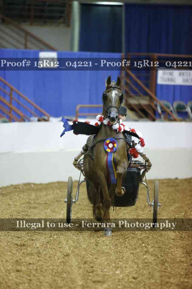 Proof 15R12_04221