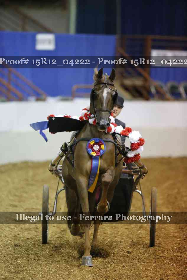 Proof 15R12_04222