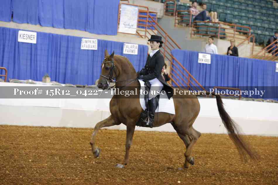 Proof 15R12_04227
