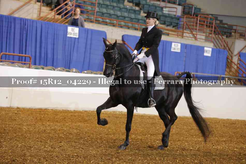 Proof 15R12_04229