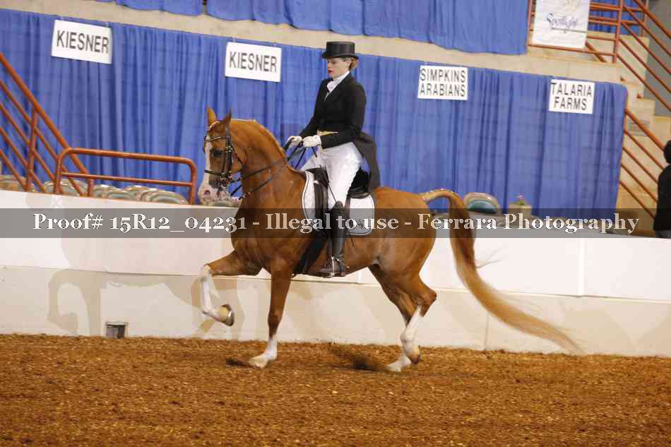 Proof 15R12_04231