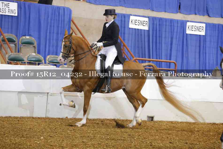 Proof 15R12_04232