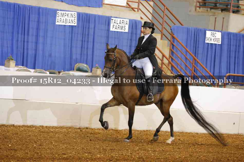 Proof 15R12_04233