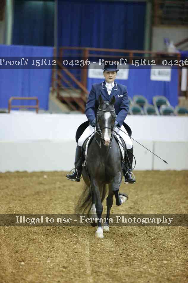 Proof 15R12_04236