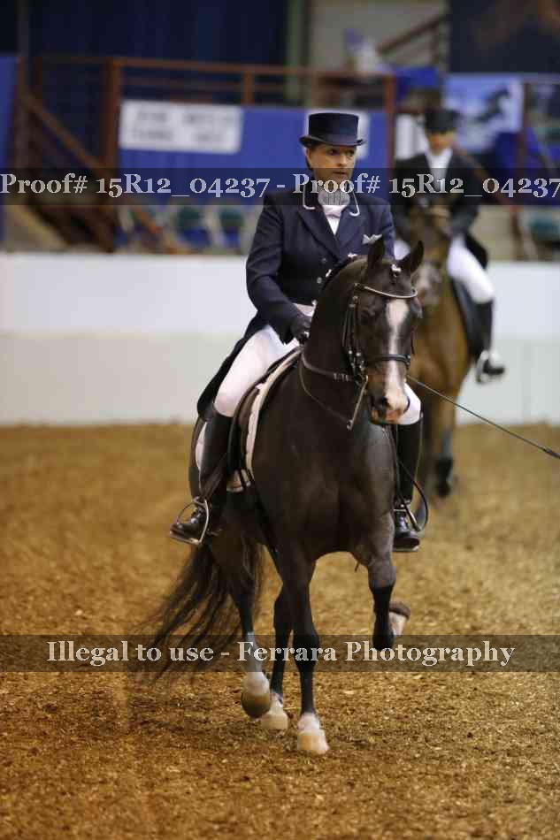 Proof 15R12_04237