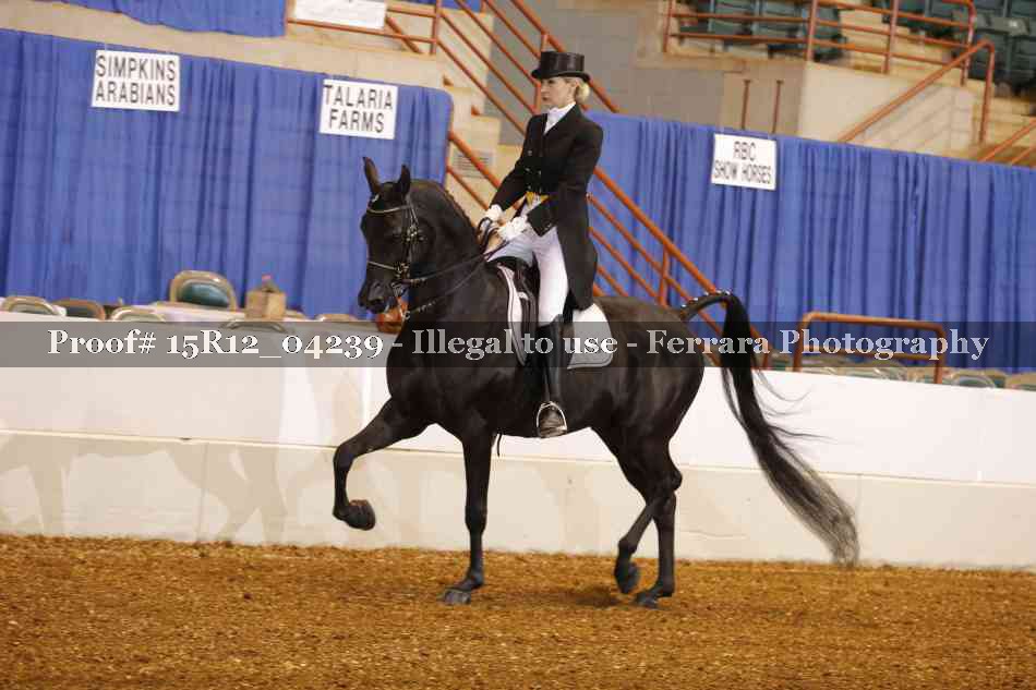 Proof 15R12_04239