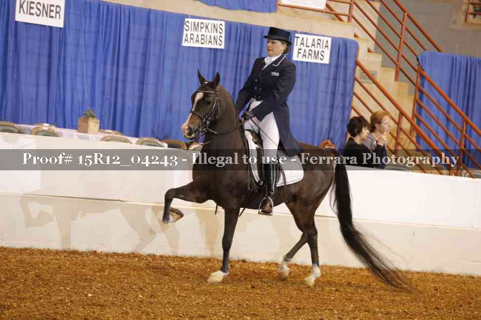 Proof 15R12_04243